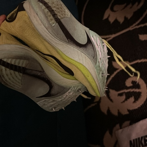 Dragonfly’s - Picture 12 of 12